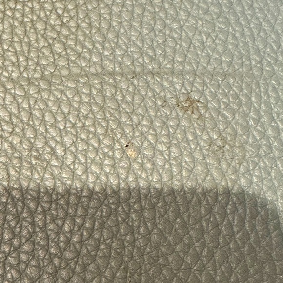 Anya Hindmarch Mint Green Leather Buckle Shoulder Bag - Picture 9 of 10